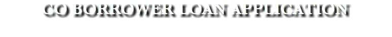 CO BORROWER LOAN APPLICATION